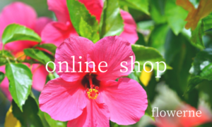 online shop